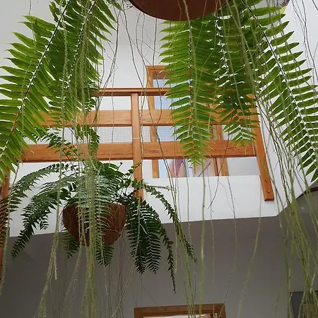 Aguaviva Holiday home