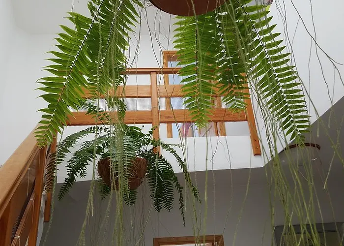 Aguaviva Hébergement de vacances