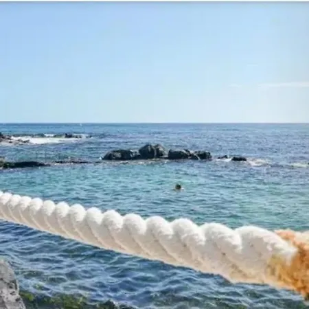 Aguaviva